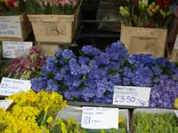 columbia road flower market (13).webp columbia road flower market (13).webp