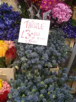 columbia road flower market (14).webp columbia road flower market (14).webp