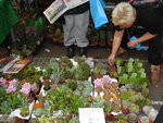 columbia road flower market (15).JPG