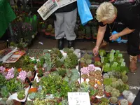 columbia road flower market (15).webp columbia road flower market (15).webp