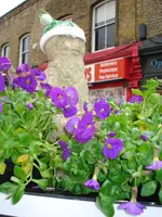 columbia road flower market (20).webp columbia road flower market (20).webp