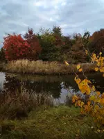 IMG_20211017_0832458-02.jpeg IMG_20211017_0832458-02.jpeg