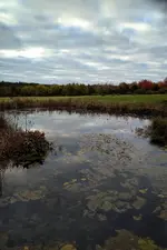 IMG_20211017_0827134-01.webp