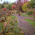 IMG_20211017_0837212-01.webp