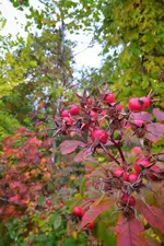 IMG_20211017_0838301-01.webp