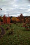 IMG_20211017_0841542-01.jpeg