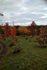 IMG_20211017_0841542-01.webp