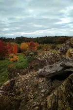 IMG_20211017_0842455-01.webp