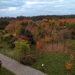 IMG_20211017_0821033-01.webp