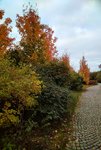 IMG_20211017_0852443-01.jpeg