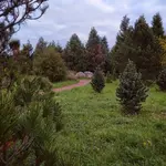 IMG_20211017_0823263-01.webp