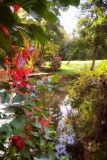 IMG_20211017_1028218-01.webp