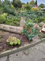20211017_163123.webp
