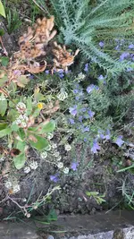 20210925_185105.webp