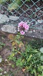 20210925_185124.jpg