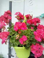 IMG_20211019_123725.webp