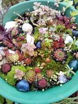 IMG_20211019_123502.jpg