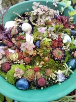 IMG_20211019_123502.webp