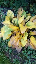 20211018_145506.webp
