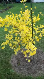 20211018_145558.webp