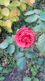 20211018_145613.webp