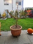 20211020_170434.jpg