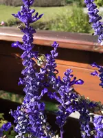 7B24096C-7347-4EB1-987D-36061D02A6D5.webp