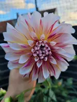 20211021_174059.webp