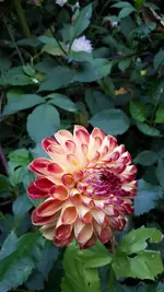 20211019_170205.webp