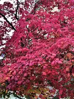 IMG_20211021_143551_2.webp