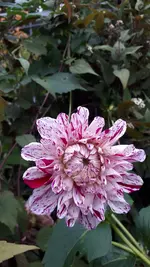 20211019_170150.webp