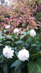 20211019_170105.jpg