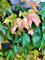 IMG_20211021_144112_1.webp