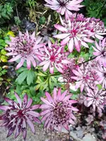 IMG_20211016_134022.webp
