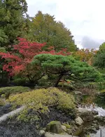 IMG_20211016_130116.webp