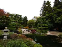 IMG_20211016_130148.webp