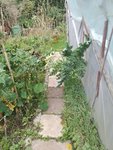 IMG_20211022_170539.jpg