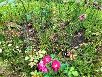 IMG_20210916_144410.webp