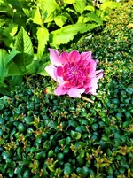 IMG_20210907_152722.webp
