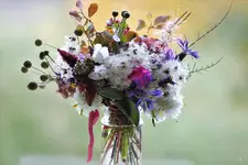image001.webp