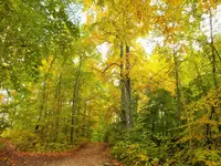 DSCF5114 (2).webp