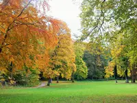 DSCF5116 (2).webp