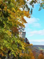 DSCF5118 (2).webp