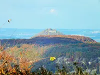 DSCF5127 (2).webp