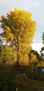 20211023_174837.webp