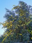 IMG_20211023_161426.jpg