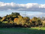 IMG_20211023_161533.jpg