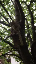 DSCF2835.webp