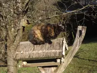 DSCF3209.webp