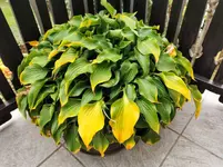 IMG_20211023_083404.webp
